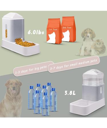 2-Pack Automatic Pet Feeders & Water Dispensers - 1 Gallon Capacity for Cats, Dogs, Puppies & Kittens - Gray - Buy Online on GoSupps.com