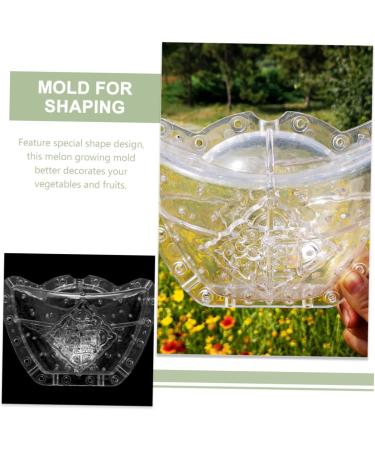 CIYODO Fruits Mold Square Mold Pumpkin Mold Clear Fruit Plastic Fruit Small Growing Mold Ginseng Watermelon Plant - Buy Online on GoSupps.com