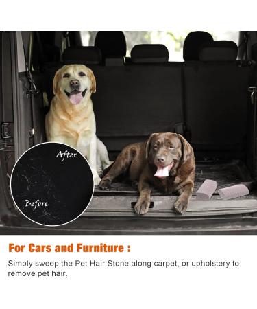 2-Piece Pet Hair Removal Tool | Bimsstein Foot Care & Corneal Remover | Easy Clean Carpet Couch & Furniture - 4 Inches - Buy Online on GoSupps.com