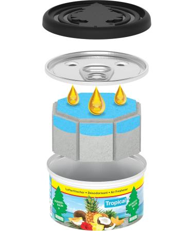WUNDER-BAUM Fragrance Tin 4-Pack | Long-Lasting Tropical Car & Home Scent | International Shipping - Buy Online on GoSupps.com