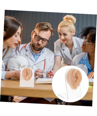 Piercing Tools Simulation Left Ear Model Display Prosthesis Mold Silica Gel Silicone Earring Mold for Body Art - Buy Online on GoSupps.com