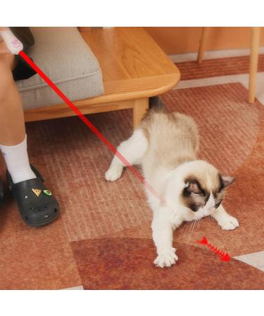 Pssopp Indoor Pet Interactive Toy Cat Toys LED Pointer Cat Flashlight Toy LED Projector Toy Cat Training Exercise Tool - Buy Online on GoSupps.com