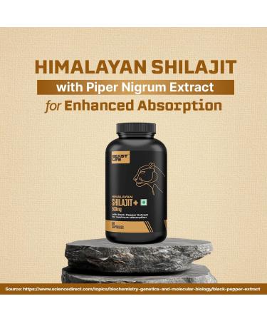 Himalayan Shilajit Capsules | Pure & Potent | Improves Muscle Strength Stamina Energy & Power | Supports Faster Recovery | Natural & Organic | 60 Capsules 60 Count (Pack of 1) - Buy Online on GoSupps.com