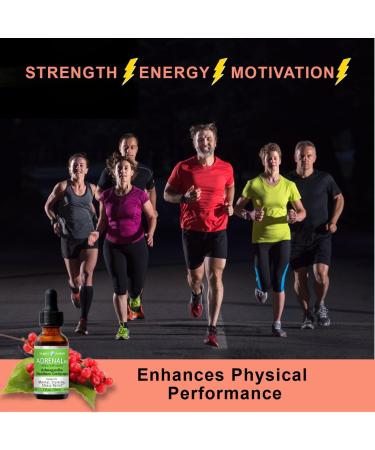 Adrenal Daily Liquid Drops. Supports Wellness & Energy. Supplement with Adaptogenic Herbs Ashwagandha Eleuthero Rhodiola & Cordyceps - Buy Online on GoSupps.com