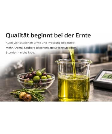  OLEUS PREMIUM Oleus olive oil from Greece (6 x 500 ml) - Buy Online on GoSupps.com