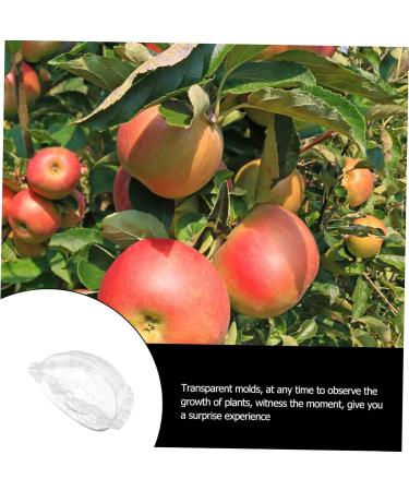 SUPVOX Cucumber Shaping Mold 2pcs Fruit Mold Accessories Growing Shaping Pear Ingot Ingot-Shaped Vegetable Molds Garden Yard - Buy Online on GoSupps.com
