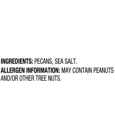 Fisher Oven Roasted Mammoth Pecans 17oz â€“ Sea Salt, Non-GMO, No Oil or Preservatives - Buy Online on GoSupps.com
