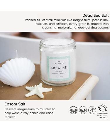 LA SALT CO Breathe Aromatherapy Bath Salt Soak | Epsom & Dead Sea Salt, Peppermint & Eucalyptus Oils | Natural Therapeutic Relief - 14 oz - Buy Online on GoSupps.com