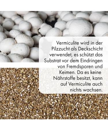 Buy Terra Exotica Vermiculite 100 Liters (Coarse 0-6 mm) for Optimal Plant Growth - International Shipping Available - Buy Online on GoSupps.com