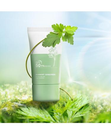 Heartleaf Sunscreen - Silky Moisture Sun Cream SPF 50+ PA++++ | Airy Daily Moisturizer Matte Finish No White Cast - Shop Now - Buy Online on GoSupps.com