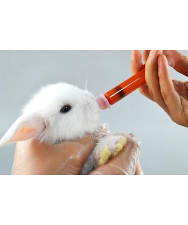 MYSY 60ml Rearing Bottle for Newborn Puppies & Kittens | Original Nipple & Syringes - Perfect for Small Mammals - Buy Online on GoSupps.com