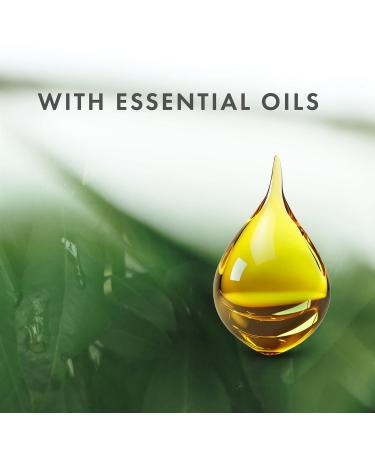 Naturally Derived Shower Gel Body Wash - Energizing Australian Peppermint Oil - Paraben & Phthalate Free - Moisturizing 4PK for Women - 16.9 fl oz - Buy Online on GoSupps.com