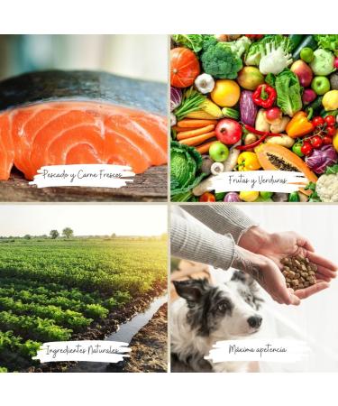 Arquivet Fresh Farm Poultry - 2.5 Kg - Complete Food for Dogs - Fresh Meat and Fish - Buy Online on GoSupps.com