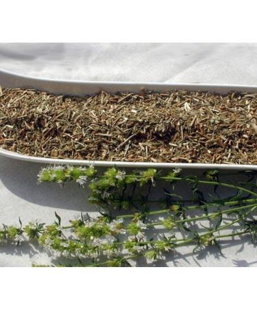 Krauterino24 Krauterino24 - hyssop herb cut hyssop quantity: 250g