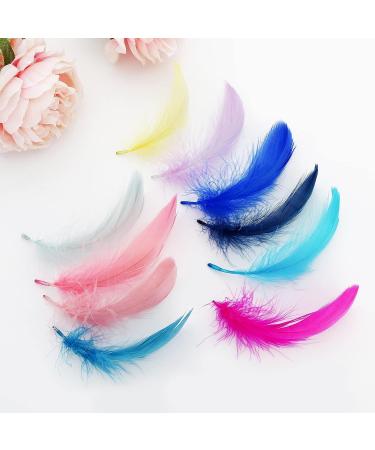 HaiMay 450 Pcs 3-5 Colorful Craft Feathers for Wedding, Home & Party Decor - 10 Colors - Buy Online on GoSupps.com