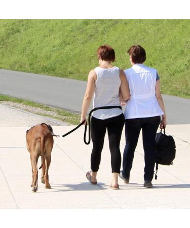 Dog Training Double Ended Leads : 2m Hands Free Adjustable Pet Training leash for Running Walking - Retractable Multifunctional Strong Nylon Puppy Lead Rope for Small Medium Dogs - Buy Online on GoSupps.com