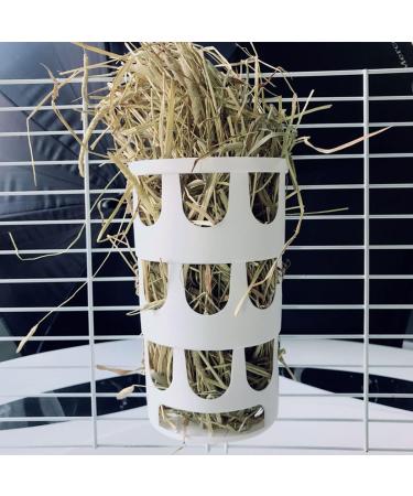 Small Animal Feeder DBAILY 2PCS Guinea Pig Cage Feeding Basket Rabbit Hay Manger Feeder Station Hay Crib Feeding Container Small Animals Food Hay Rack Multiple Angles Feeding Food Bin Bowl Chinchilla - Buy Online on GoSupps.com