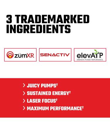 Axe & Sledge Intake All-in-One Pre-Workout | 300mg Caffeine | L-Citrulline Beta Alanine Betaine for Performance & Focus | Pre-Workout for Men & Women | 20/40 Servings Fruit Kaboom - Buy Online on GoSupps.com