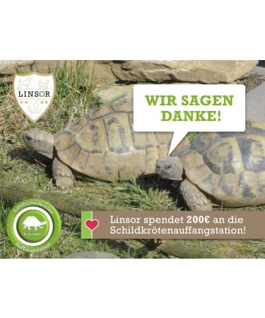 Linsor Turtles Herbal Mixture - Wild Herb Mix for Land Turtles | 50g Seeds Covering 17-50m  - Buy Online on GoSupps.com