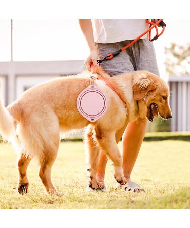 2 Pack Foldable Travel Bowls for Dogs - Silicone Water & Food Bowls Durable & Dog-Proof Perfect for Pets on the Go (Pink & Blue) - Buy Online on GoSupps.com