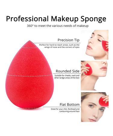 BEAKEY 5 Pcs Makeup Sponge Set - Foundation Blending Beauty Sponges for Liquid, Cream, and Powder Makeup - Multi-colored - Buy Online on GoSupps.com