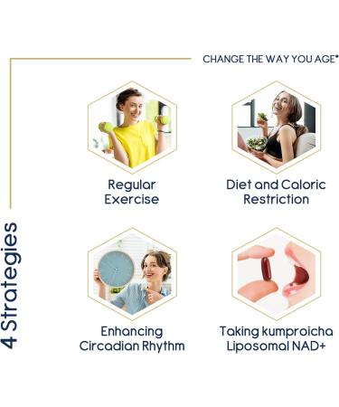 Premium Liposomal NAD+ 500mg with TMG 250mg Softgels - Cellular Repair & Energy Boost (240 Count) - Buy Online on GoSupps.com