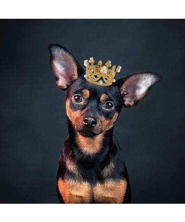 Pet Show 2pcs Small Dog Crown Headband - Birthday Party Hat for Puppies, Cats, Rabbits - Silver Gold Rhinestone Faux Pearl Crown - Wedding Hair Accessories - Buy Online on GoSupps.com