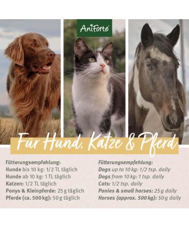 AniForte Psyllium for Dogs Cats & Horses 1kg | High Fiber Natural Supplement for Gut Health & Weight Management - Buy Online on GoSupps.com