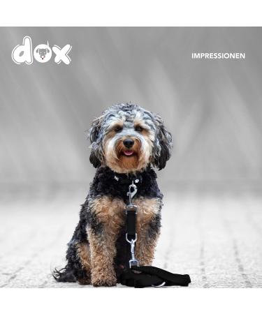 DDOXX Airmesh Dog Leash - 2m 3-Way Adjustable for All Dog Sizes - Black S - Durable & Comfortable Pet Leash - Buy Online on GoSupps.com