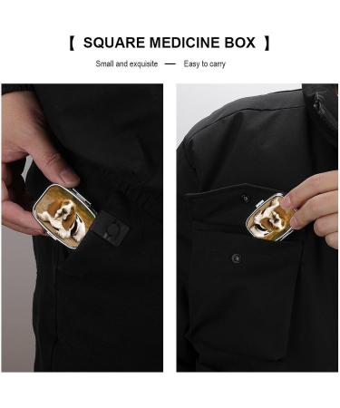 Pill Box Basset Hound Print | 2 Compartment Medicine Organizer | Portable Decorative Metal Pill Case for Pocket or Purse - Buy Online on GoSupps.com