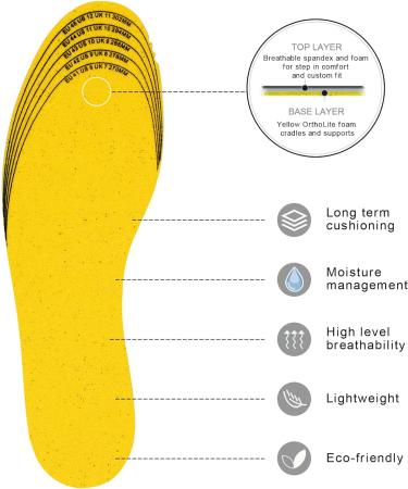 Knixmax 3 Pairs Memory Foam Insoles for Women | Super Soft Shoe Inserts | Cushioned Inner Soles for Sneakers, Slippers, Boots | Black Grey Pink, EU 36-41 - Buy Online on GoSupps.com