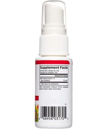 Natural Factors Bee Propolis Throat Spray 1 fl oz | Immune Support & Soothing Relief - Buy Online on GoSupps.com