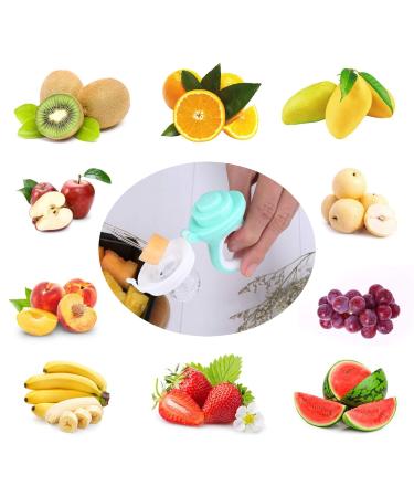 Baby Fruit Food Feeder Pacifier - 2 Pack Silicone Teething Toy with 6 Sac, 1 Clip (Cyan & Light Pink) - Buy Online on GoSupps.com
