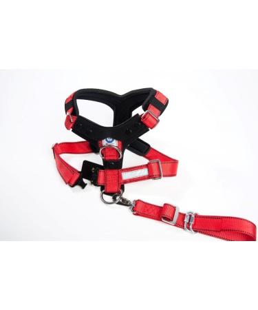 Kleinmetall Dog Safety Belts Allsafe Comfort XL - Premium Pet Travel Restraint for Safe International Shipping - Buy Online on GoSupps.com