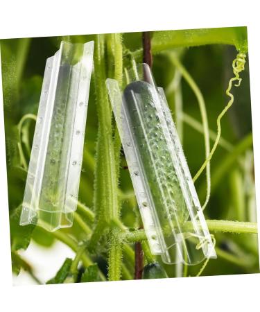 BESPORTBLE 4 pcs Shaping Fruit Square Star Shaped Tool Heart Cucumber Flower Styling Vegetable Shapers Forming - Buy Online on GoSupps.com