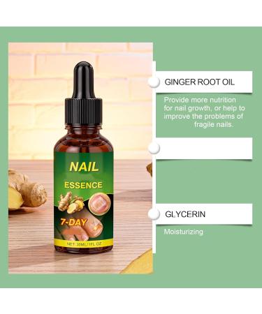 Essence pour les ongles l'huile de racine de gingembre - S rum pour un tat sain des ongles un renforcement et une brillance une cuticule hydratante une utilisation douce (6pcs) - Buy Online on GoSupps.com