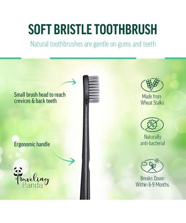 Travel-Friendly Panda Wheat Straw Toothbrushes Charcoal-Infused Whitening Bristles Bulk Pack of 10 for On-The-Go Teeth Brushing - Buy Online on GoSupps.com