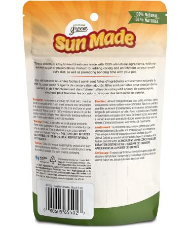 Living World Green Sun Made Small Animal Treats - Pumpkin - 20 g (0.7 oz) - Buy Online on GoSupps.com