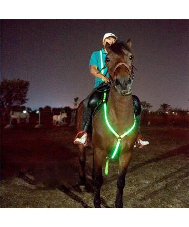 Dowoa LED Horse Harness - Robust & Comfortable Chest Strap for Safety | Best Visibility for Riding - Green - Buy Online on GoSupps.com
