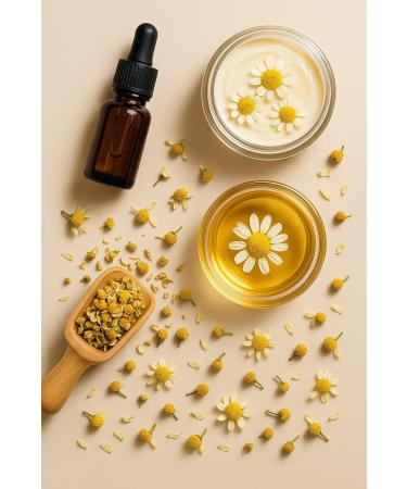 The Herbera Sweet chamomile Sweet Chamomile herbal tea dried flowers for brewing Main use Digestion and relaxation Benefits digestion calming effect and antioxidant effect - Buy Online on GoSupps.com