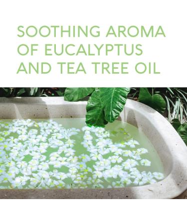Nature's Beauty Eucalyptus & Tea Tree Bath Bomb 4.6 oz - 4-Pack Fizzy Spa Bath Bombs with Coconut Oil & Witch Hazel for Skin Soothing & Energy Restoration - Buy Online on GoSupps.com