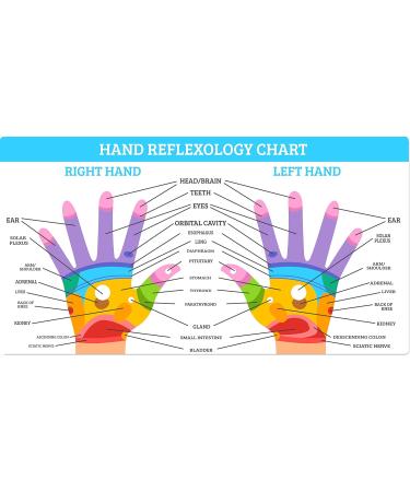 2-Piece Flexible Acupressure Rings for Fingers & Toes - Daily Reflexology Stimulation at Home & On-the-Go - Buy Online on GoSupps.com
