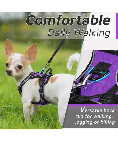 Eagloo Small Dog Harness - Adjustable Anti-Train Harness with Reflex Strips for Walking & Jogging - Durable Purple XS (1 Pack) - Buy Online on GoSupps.com