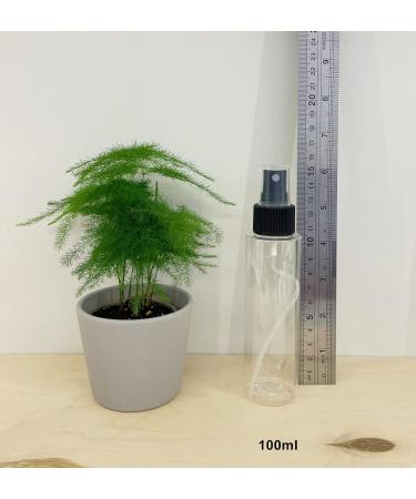 6-Piece TANGDIAABBCC 100ml Black Fine Mist Spray Bottles - Travel Atomizer Empty & Refillable - Buy Online on GoSupps.com