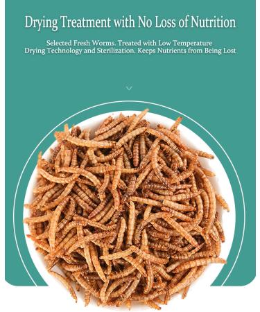 Dried Mealworms 3.5oz - Pet Food for Reptiles, Birds, Fish, and Small Animals - Buy Online on GoSupps.com