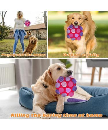 Buy Sniffed Ball for Dogs | Interactive Sniffing & Intelligence Toys | Odor Training & Washable Snack Ball - Buy Online on GoSupps.com