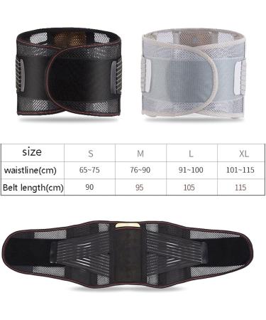 Lower Back Braces for Back Pain Relief - Compression Lumbar Support Belt for Men Women Lumbar Support Waist Backbrace for Herniated Disc Sciatica Scoliosis (Color : Black Size : Large) ((Black SMA Black Small - Buy Online on GoSupps.com