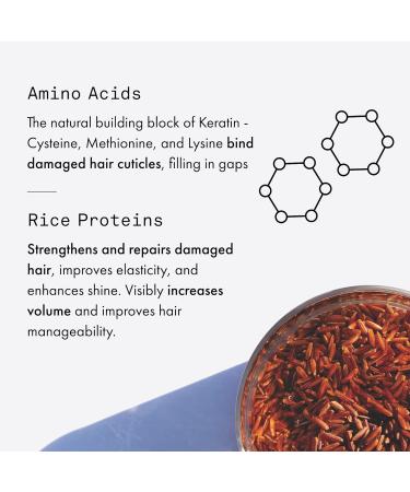 Fekkai Super Strength Shampoo - 2 oz | Repairs Strengthens & Nourishes | Vegan Cruelty-Free Salon Grade - Shop Now - Buy Online on GoSupps.com