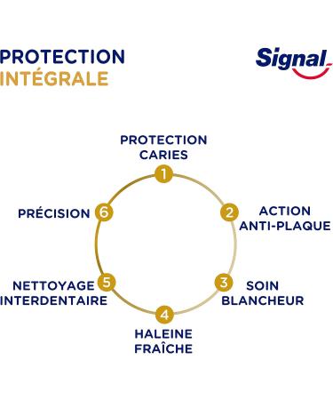 Buy Signal Medium Allround Protection Toothbrush - 4 Pack | International Shipping Available - Buy Online on GoSupps.com