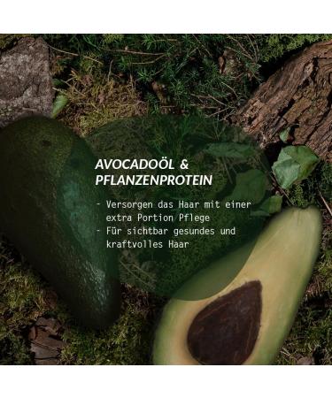 Buy Logona Natural Plant Hair Color 210 Copper Red - Vegan & Henna-Based Permanent Color Cream for Shiny Hair | 150ml - Indian Summer - Buy Online on GoSupps.com